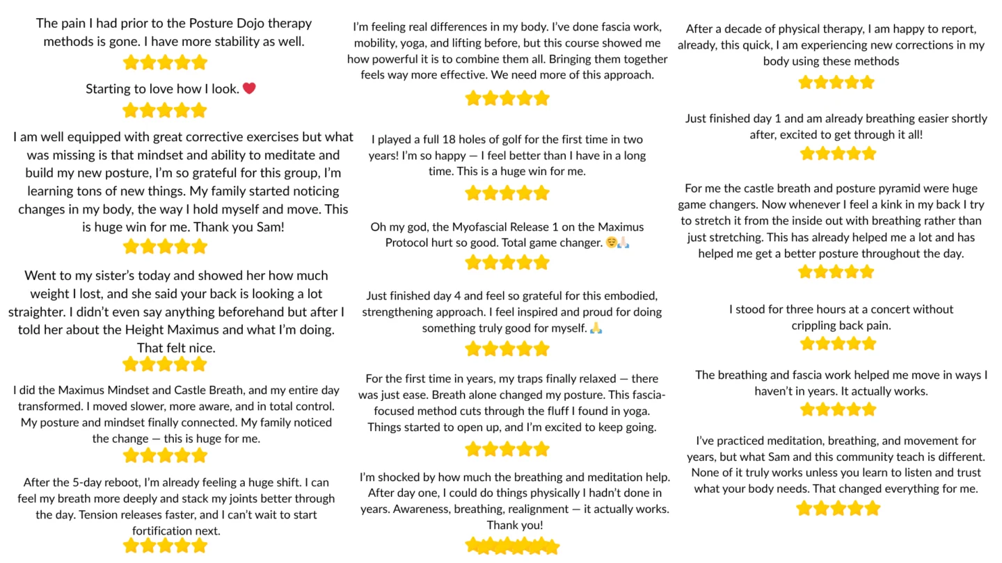 Wall of five-star written reviews from Posture Dojo members